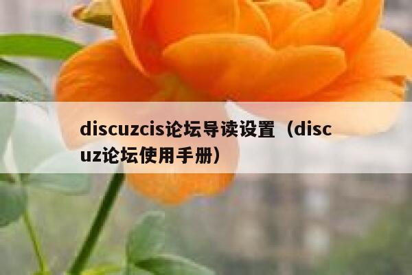 discuzcis论坛导读设置（discuz论坛使用手册）