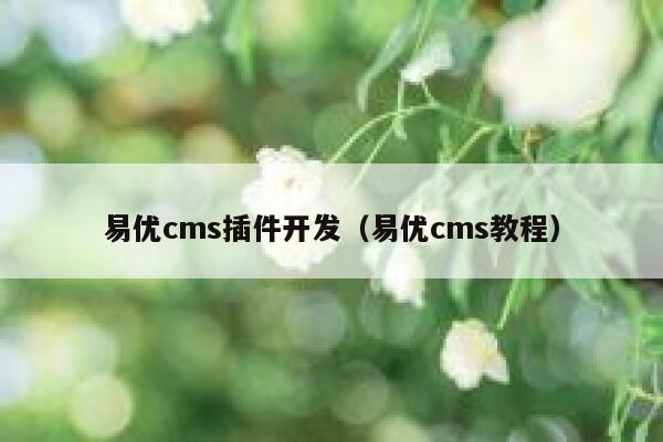 易优cms插件开发（易优cms教程）