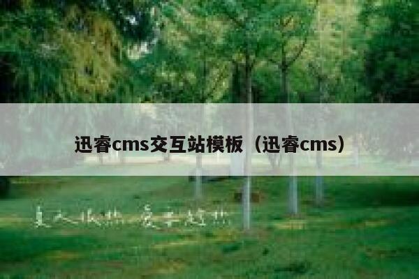 迅睿cms交互站模板（迅睿cms）