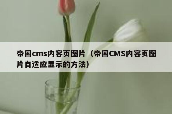 帝国cms内容页图片（帝国CMS内容页图片自适应显示的方法）