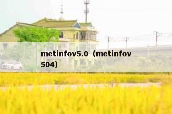 metinfov5.0（metinfov504）