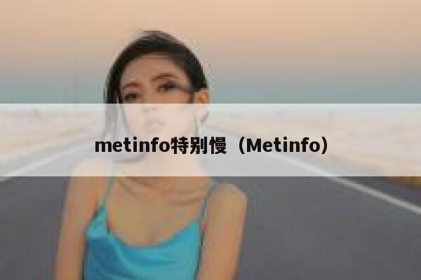 metinfo特别慢（Metinfo）