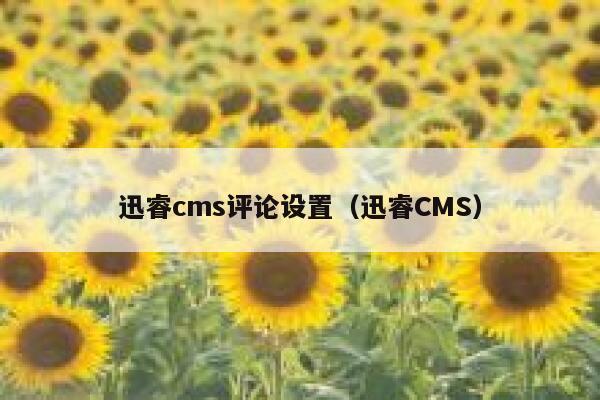 迅睿cms评论设置（迅睿CMS）