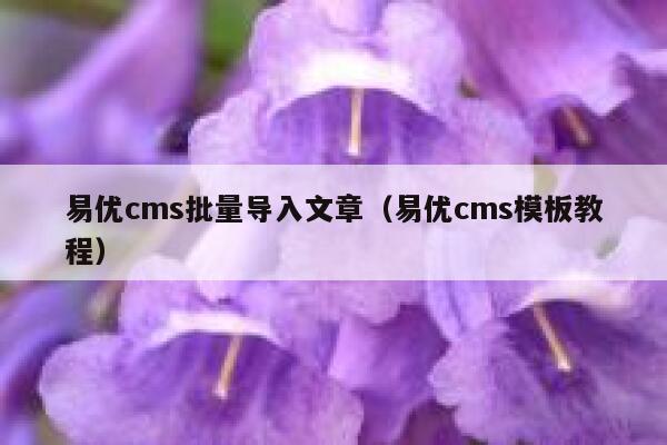 易优cms批量导入文章（易优cms模板教程）