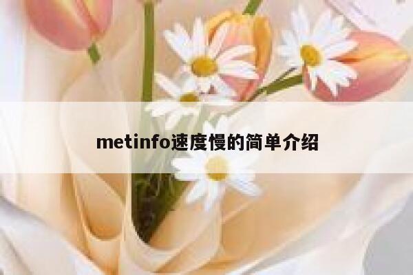 metinfo速度慢的简单介绍