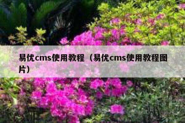 易优cms使用教程（易优cms使用教程图片）