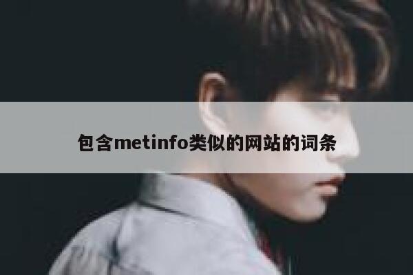 包含metinfo类似的网站的词条 第1张