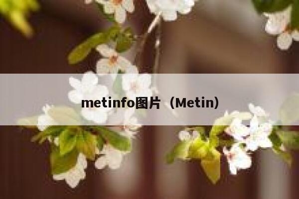 metinfo图片（Metin）