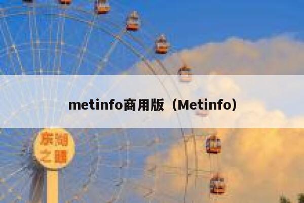 metinfo商用版（Metinfo）