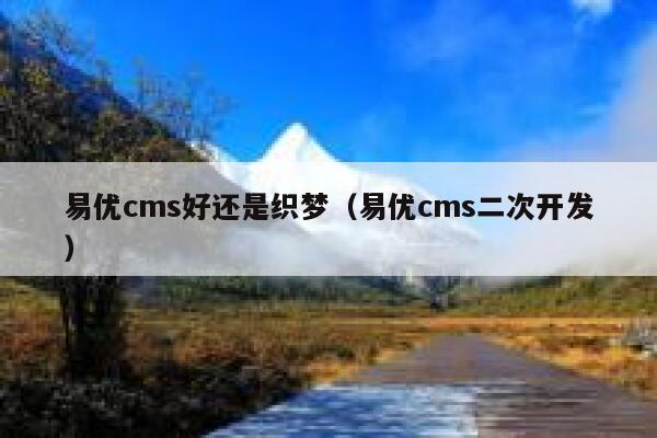 易优cms好还是织梦（易优cms二次开发）