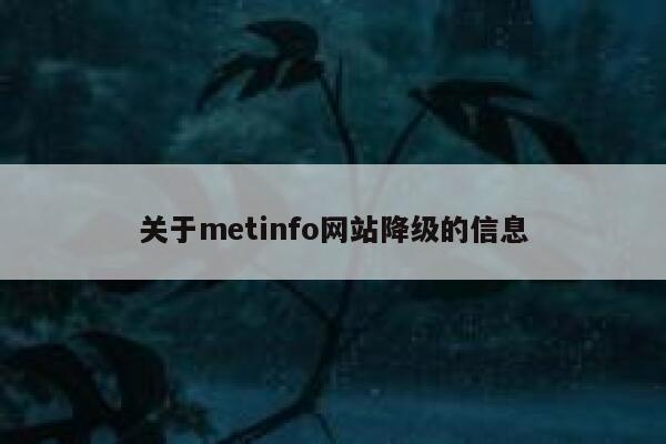 关于metinfo网站降级的信息 第1张