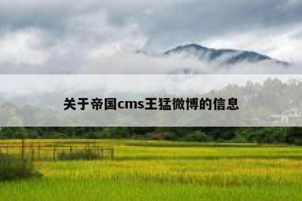 关于帝国cms王猛微博的信息