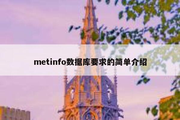 metinfo数据库要求的简单介绍