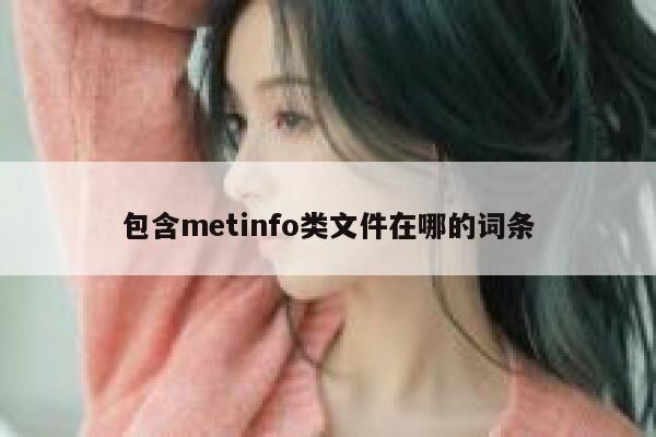 包含metinfo类文件在哪的词条