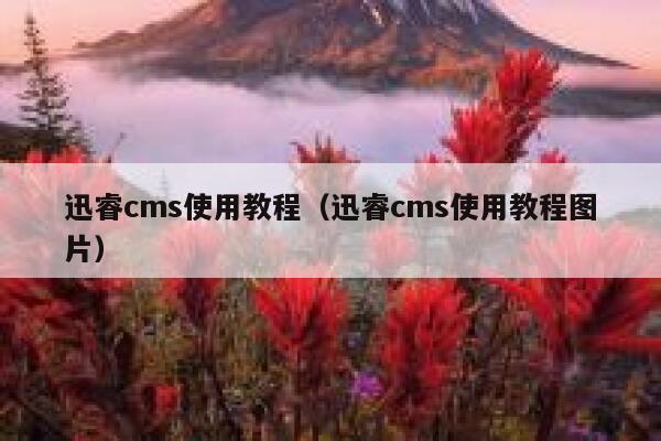 迅睿cms使用教程（迅睿cms使用教程图片）