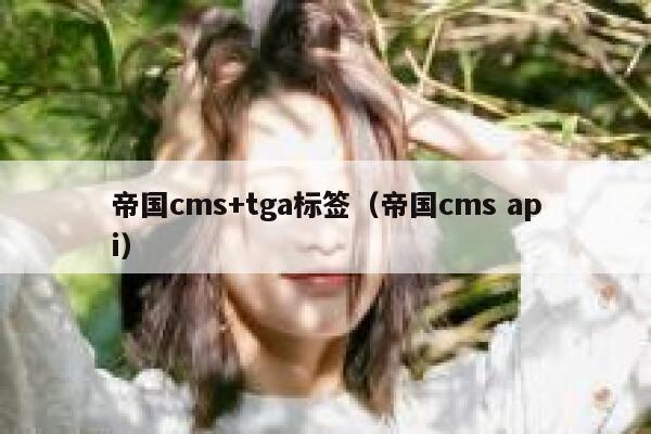 帝国cms+tga标签（帝国cms api）