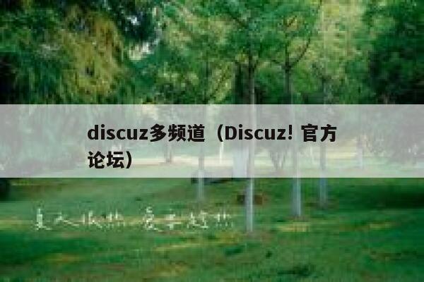 discuz多频道（Discuz! 官方论坛）