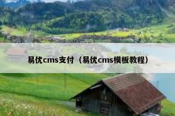 易优cms支付（易优cms模板教程）