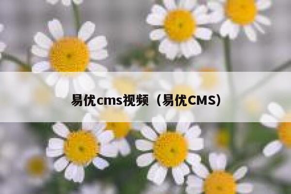 易优cms视频（易优CMS）