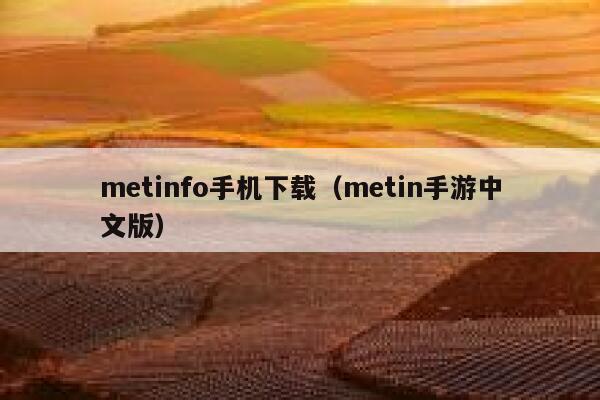 metinfo手机下载（metin手游中文版）