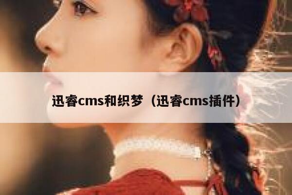 迅睿cms和织梦（迅睿cms插件）