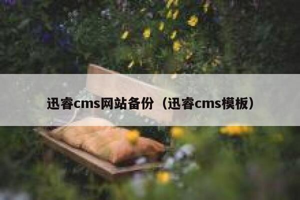 迅睿cms网站备份（迅睿cms模板）