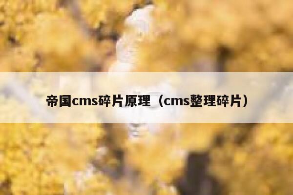 帝国cms碎片原理（cms整理碎片）