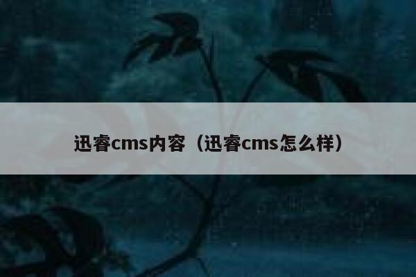 迅睿cms内容（迅睿cms怎么样）