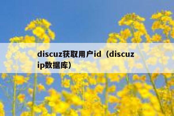 discuz获取用户id（discuz ip数据库）