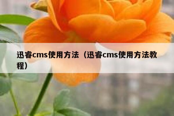 迅睿cms使用方法（迅睿cms使用方法教程）