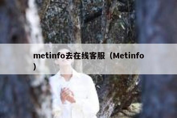 metinfo去在线客服（Metinfo）