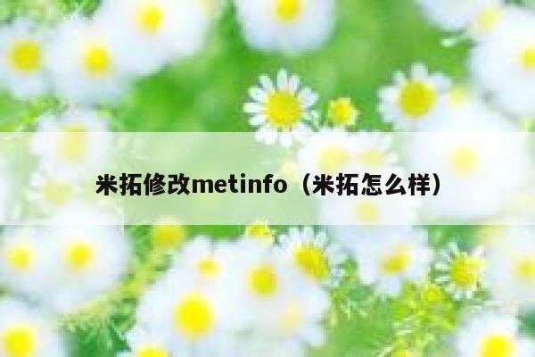 米拓修改metinfo（米拓怎么样）