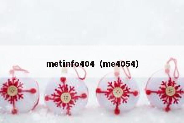 metinfo404（me4054）