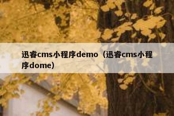 迅睿cms小程序demo（迅睿cms小程序dome）