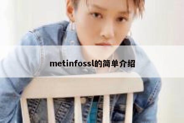 metinfossl的简单介绍