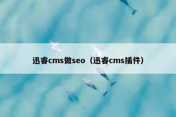 迅睿cms做seo（迅睿cms插件）