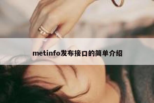 metinfo发布接口的简单介绍