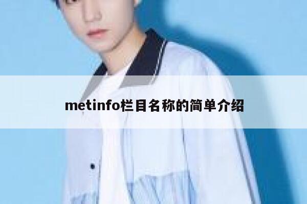 metinfo栏目名称的简单介绍