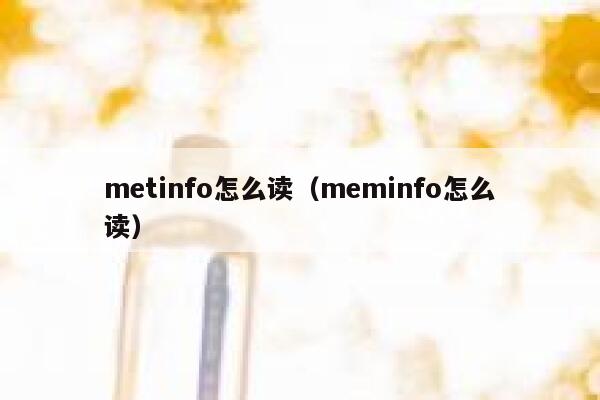 metinfo怎么读（meminfo怎么读）