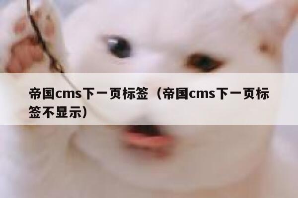 帝国cms下一页标签（帝国cms下一页标签不显示）