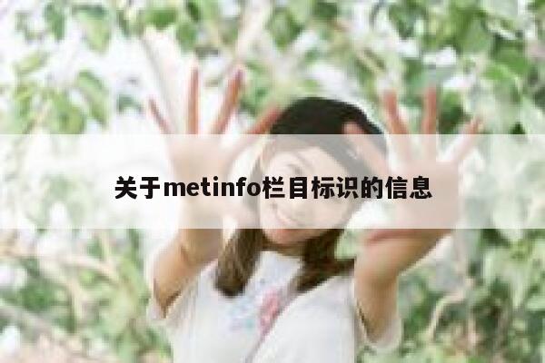 关于metinfo栏目标识的信息