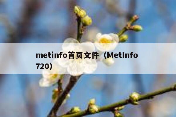 metinfo首页文件（MetInfo 720）