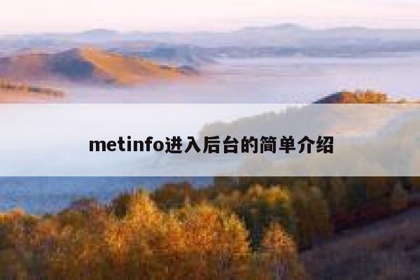 metinfo进入后台的简单介绍