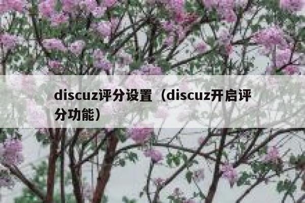 discuz评分设置（discuz开启评分功能）