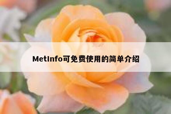 MetInfo可免费使用的简单介绍 第1张