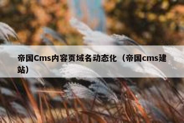 帝国Cms内容页域名动态化（帝国cms建站）