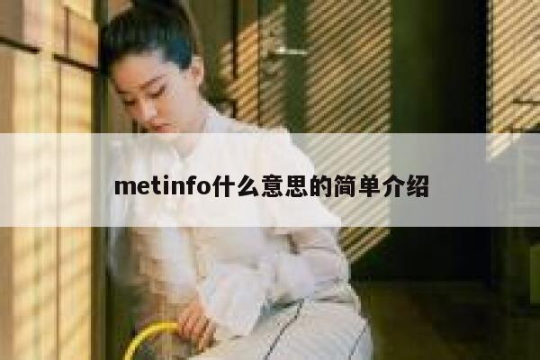 metinfo什么意思的简单介绍