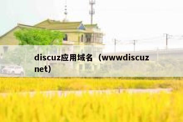 discuz应用域名（wwwdiscuznet）