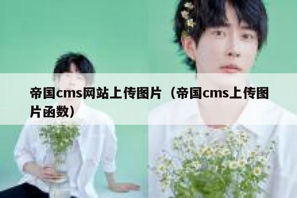 帝国cms网站上传图片（帝国cms上传图片函数）