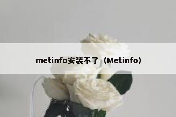 metinfo安装不了（Metinfo）